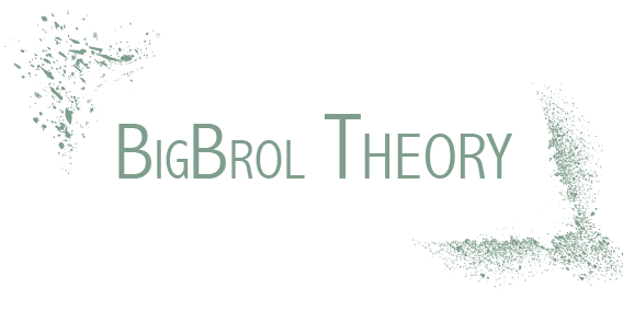 Big Brol Theory I Home organising - Juliette Leroy